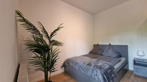 Elfriede3: fantastic renovated quiet apartment in GE for rent - Gallery - 12