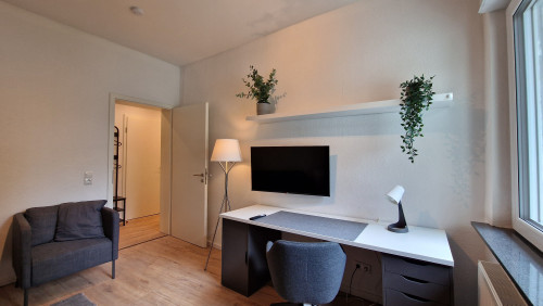 Elfriede3: fantastic renovated quiet apartment in GE for rent
