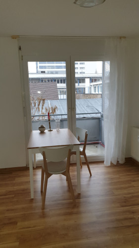 Bright suite located in Freiburg im Breisgau - Gallery - 7