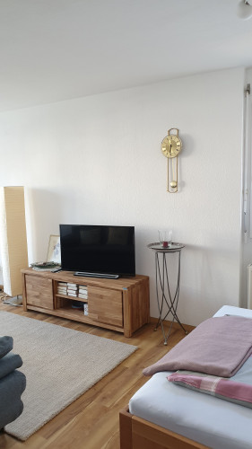 Bright suite located in Freiburg im Breisgau