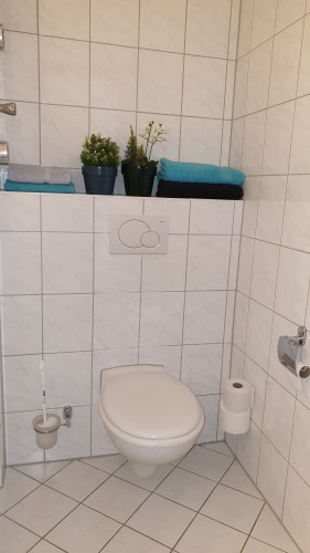 Bright suite located in Freiburg im Breisgau - Gallery - 6