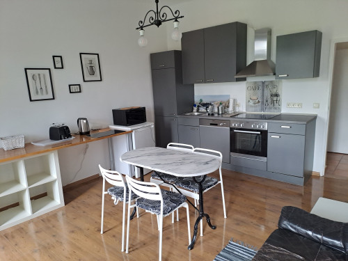 charming flat Mühle 4 in centrum of Chemnitz