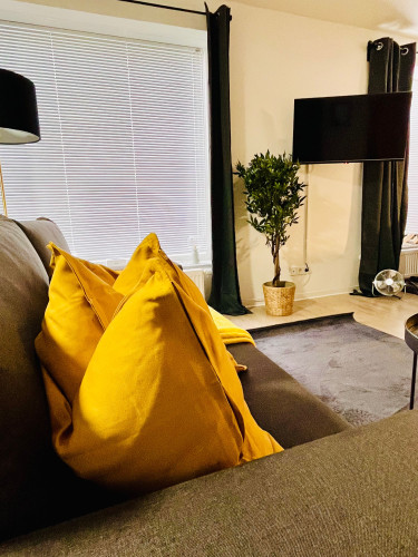 Great and bright suite in Erfurt  - Gallery -  5