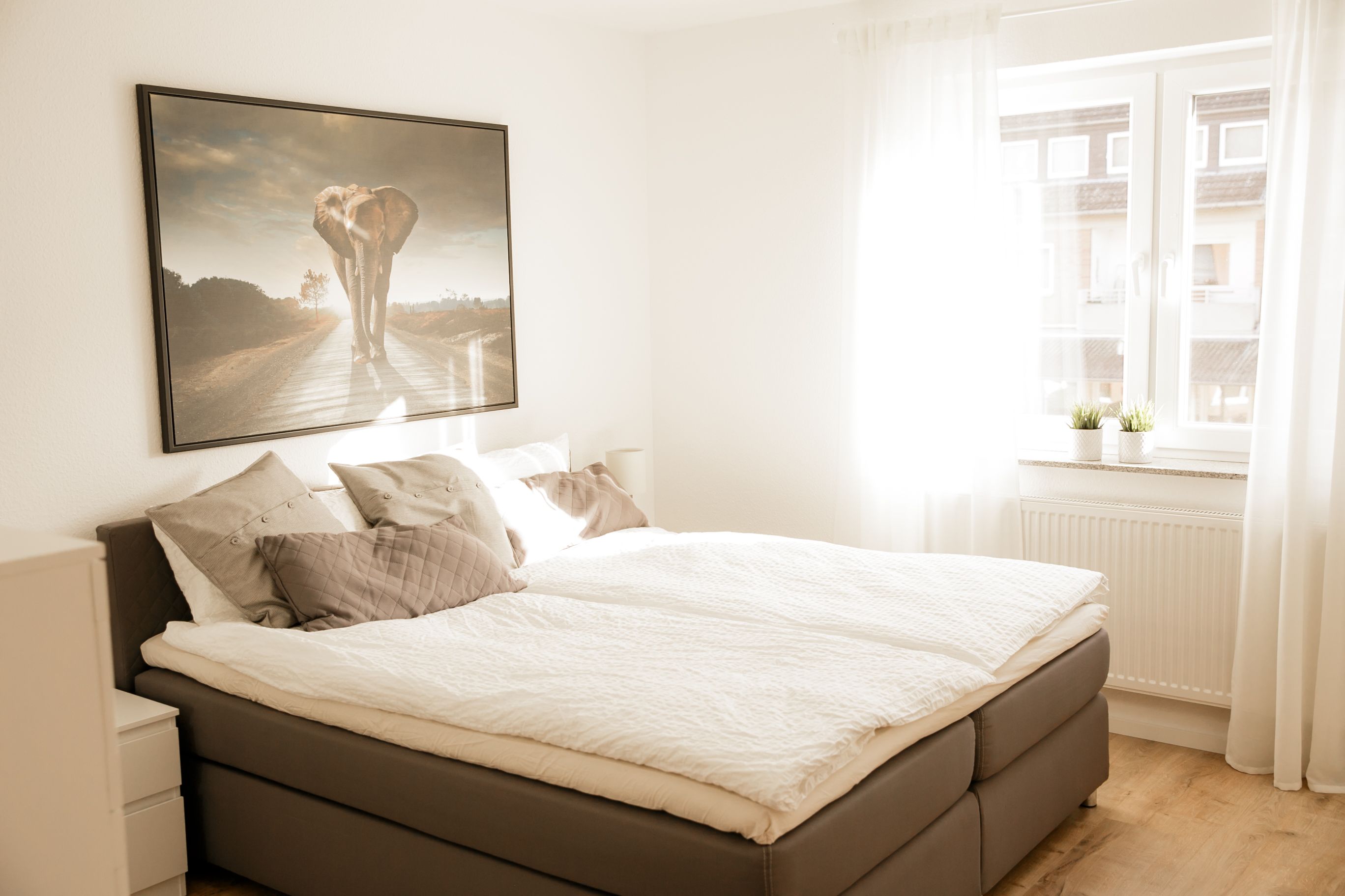  BRIGHT & STYLISH CENTRAL & COMFORTABLE  -  BRIGHT & STYLISH CENTRAL & COMFORTABLE  - Gallery -  10