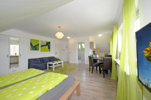 Modern, bright 1-room apartment (33 sqm) with kitchenette and separate bathroom, Speyer