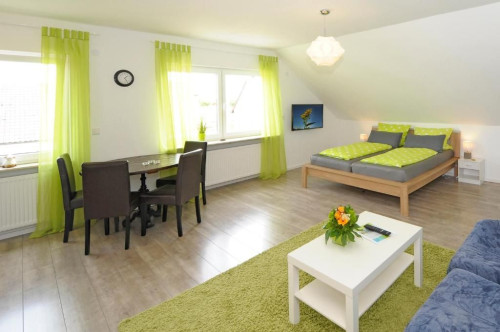 Modern, bright 1-room apartment (33 sqm) with kitchenette and separate bathroom, Speyer