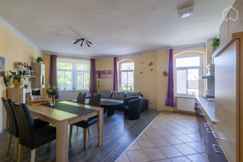 Charming apartment in Dresden - Gallery - 17