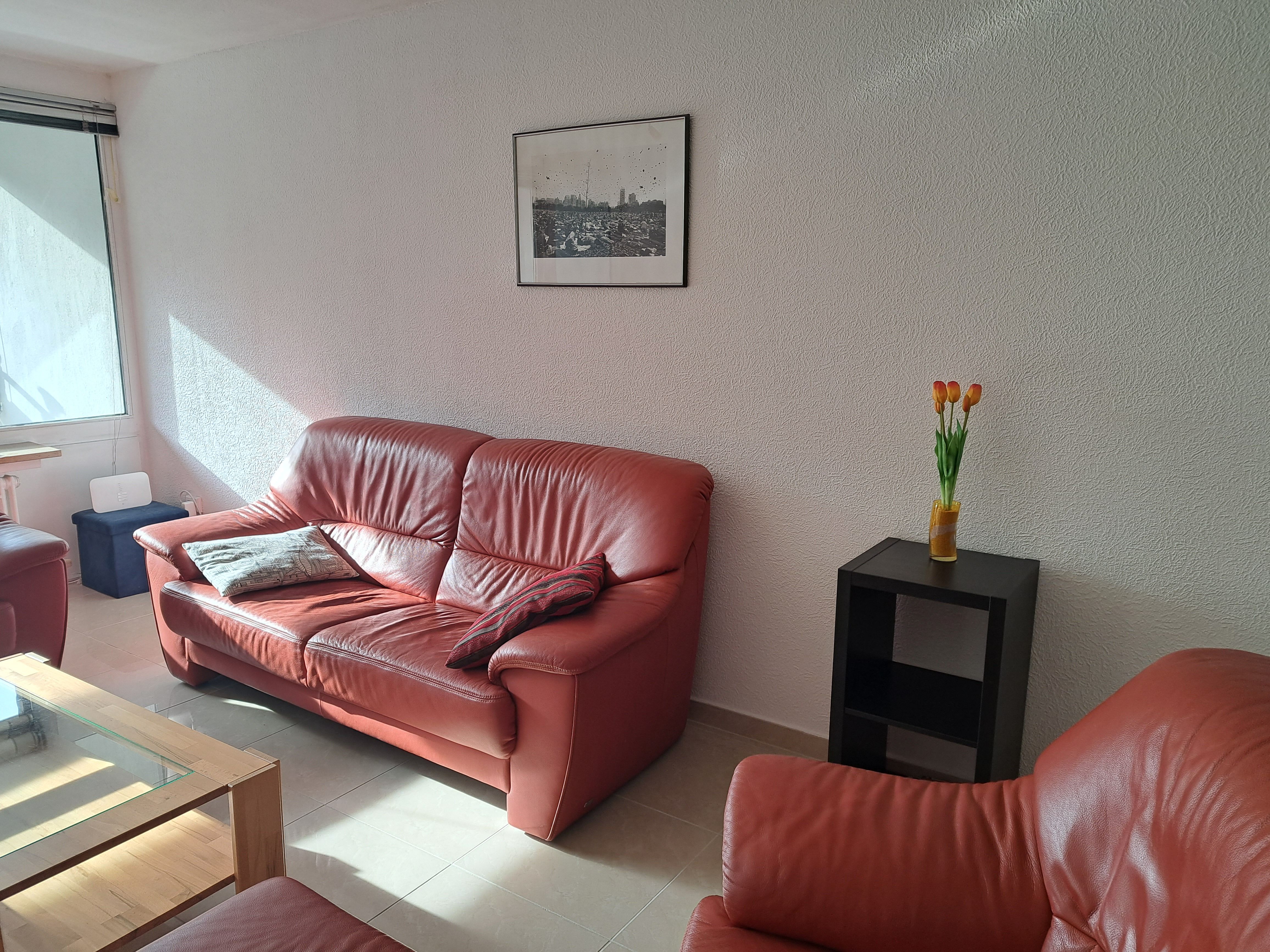  Fully Furnished Apartment, Central, Balcony, Own Car Parking Space, Elevator, Very Spacious  -  Fully furnished apartment, central, balcony, own car parking space, elevator, very spacious  - Gallery -  43