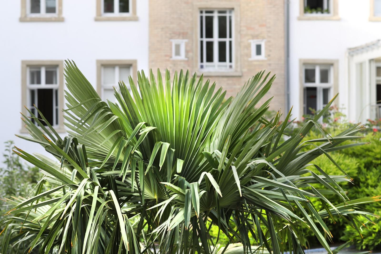  Wonderful And New Studio In Karlsruhe  -  Wonderful and new studio in Karlsruhe  - Gallery -  31