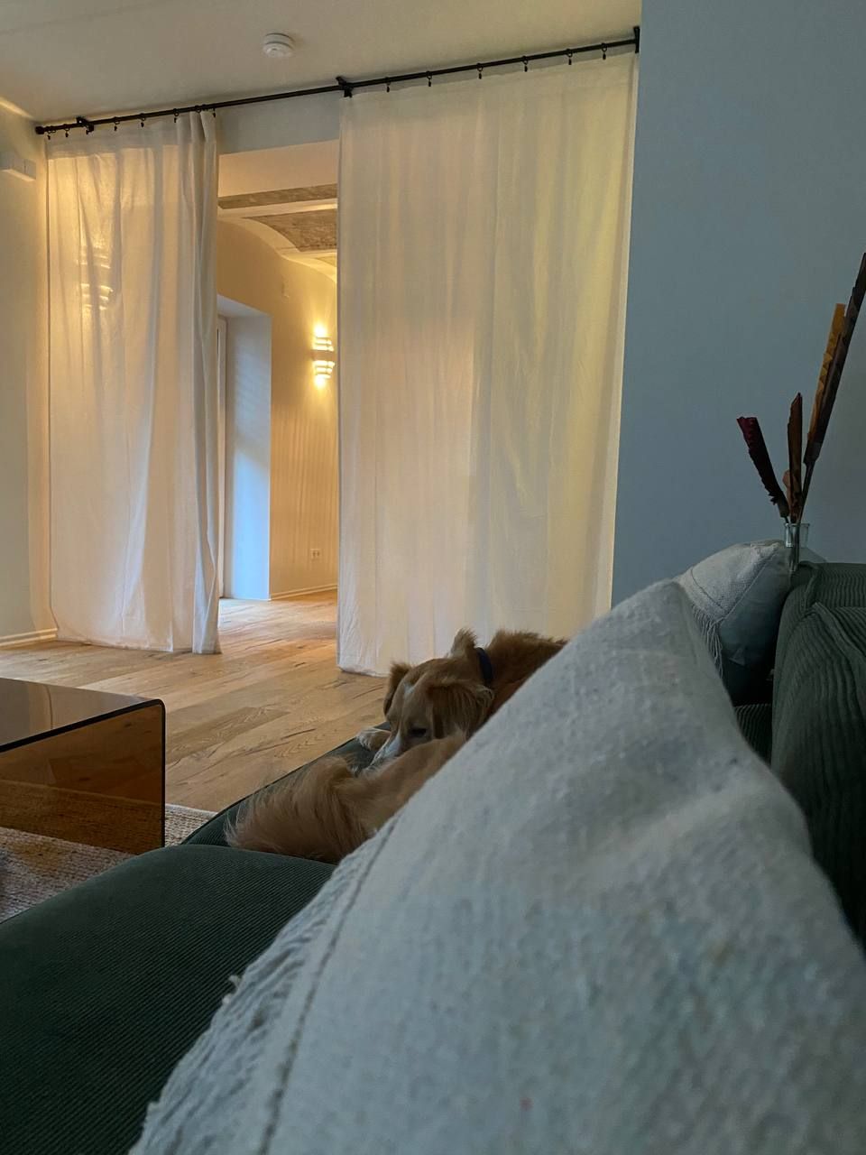 Bright & Perfect Suite In Offenbach Am Main - 33