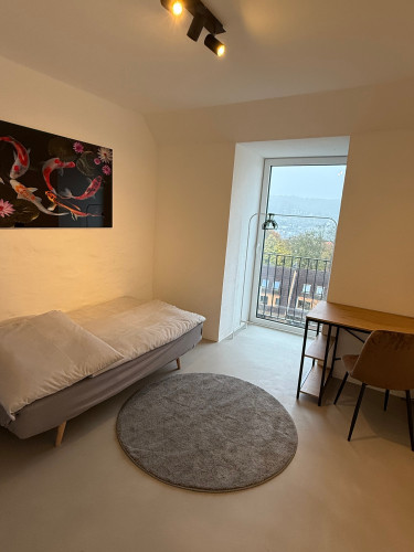 Luxury penthouse, central, breathtking view