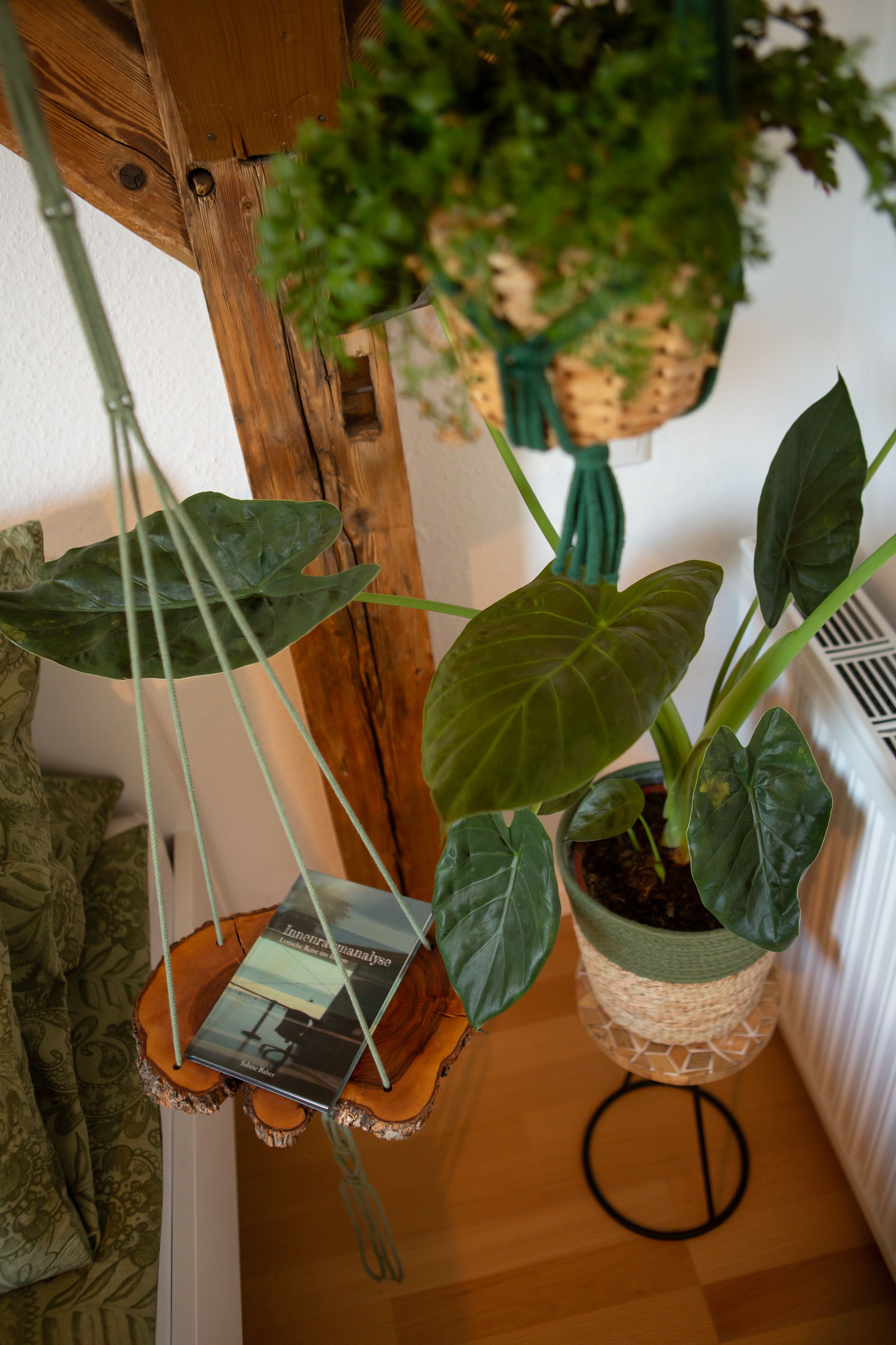 Rooftop Arts & Crafts Apartment With 3 Terraces In Augsburg City - 54