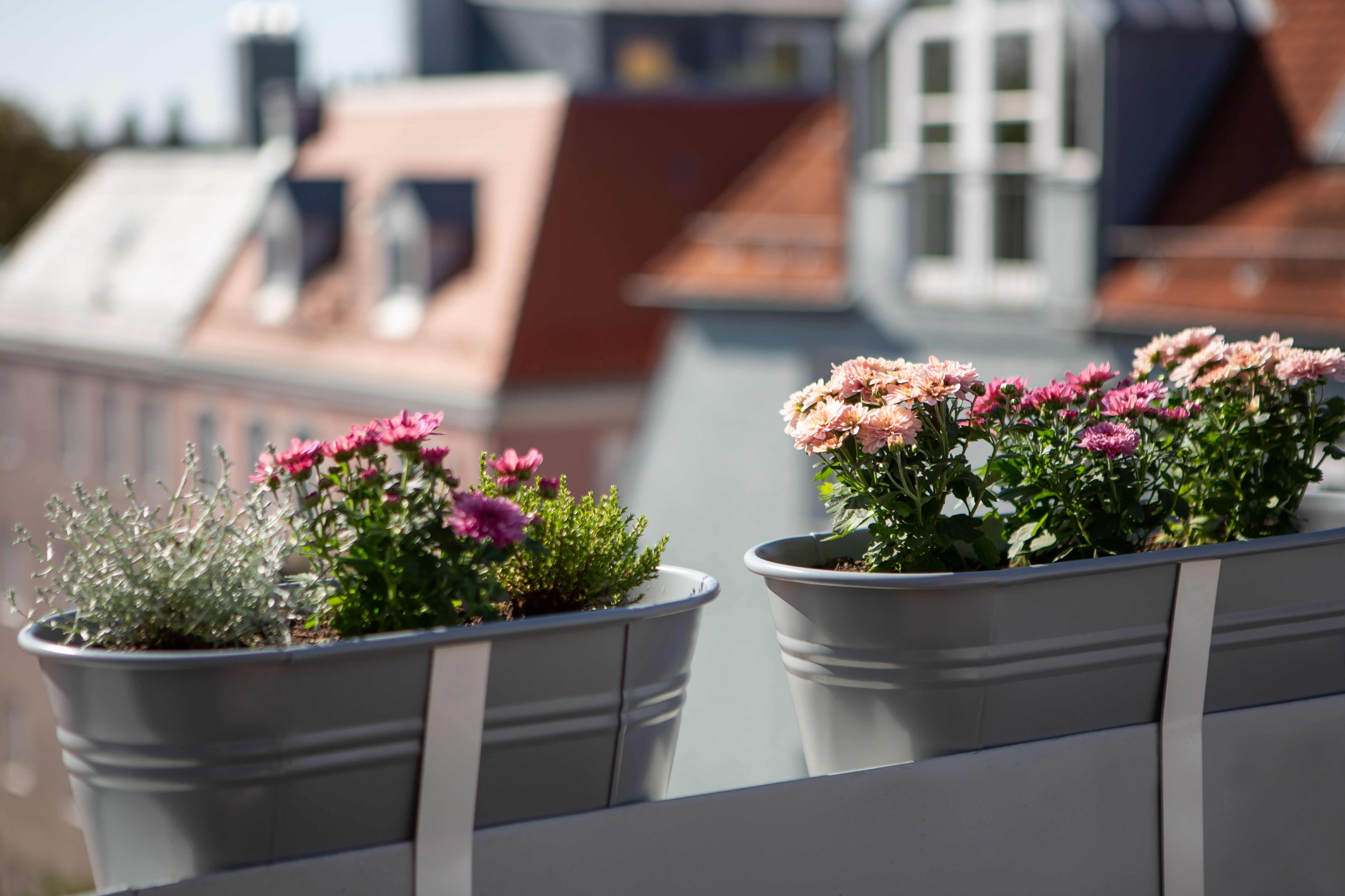 Rooftop Arts & Crafts Apartment With 3 Terraces In Augsburg City - 41