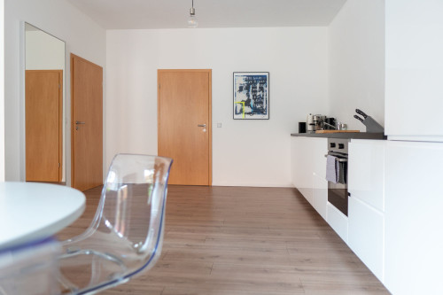 Furnished 70 sqm apartment in Erfurt with modern bathroom