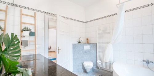 Spacious Apartment in Downtown Wiesbaden  - Gallery -  5