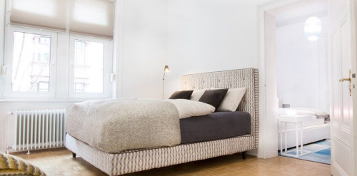 Spacious Apartment in Downtown Wiesbaden