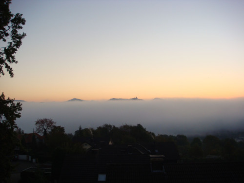 Nicer to live is impossible, Dreamview to valley of father Rhine and 7 Hills with Drachenfels