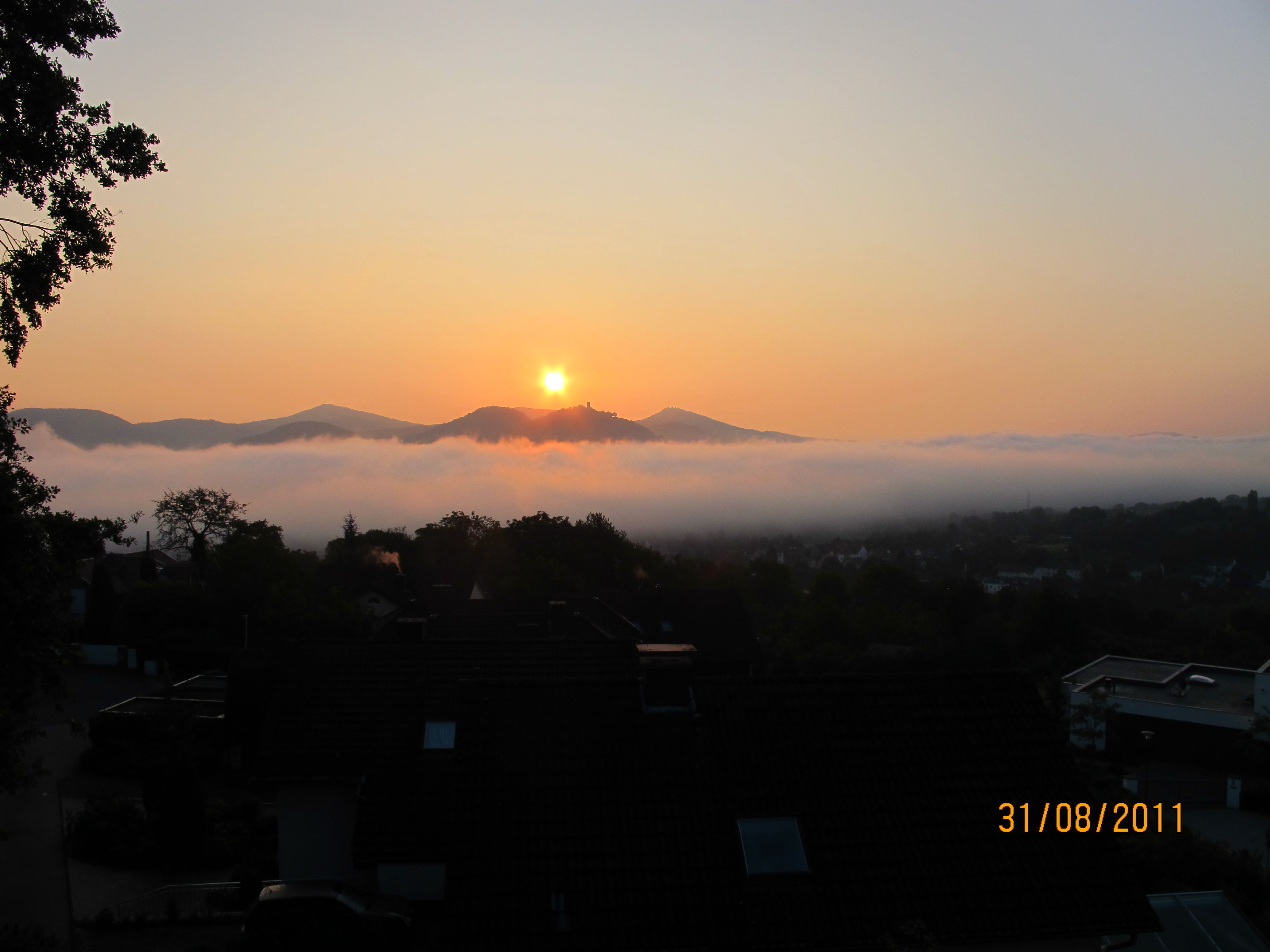  Nicer To Live Is Impossible, Dreamview To Valley Of Father Rhine And 7 Hills With Drachenfels  -  Nicer to live is impossible, Dreamview to valley of father Rhine and 7 Hills with Drachenfels  - Gallery -  38
