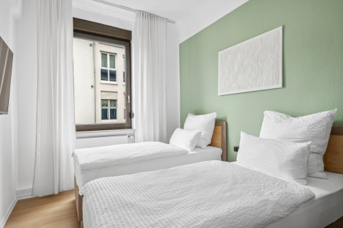 Bright and friendly business apartment (Wiesbaden)