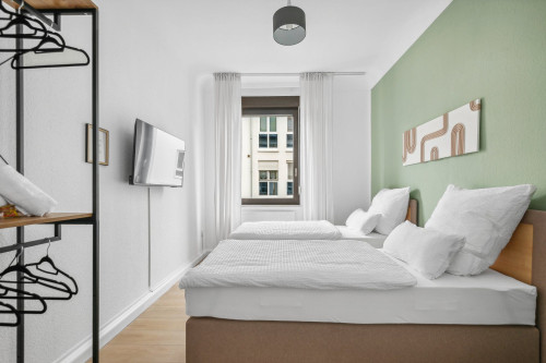 Bright and friendly business apartment (Wiesbaden)