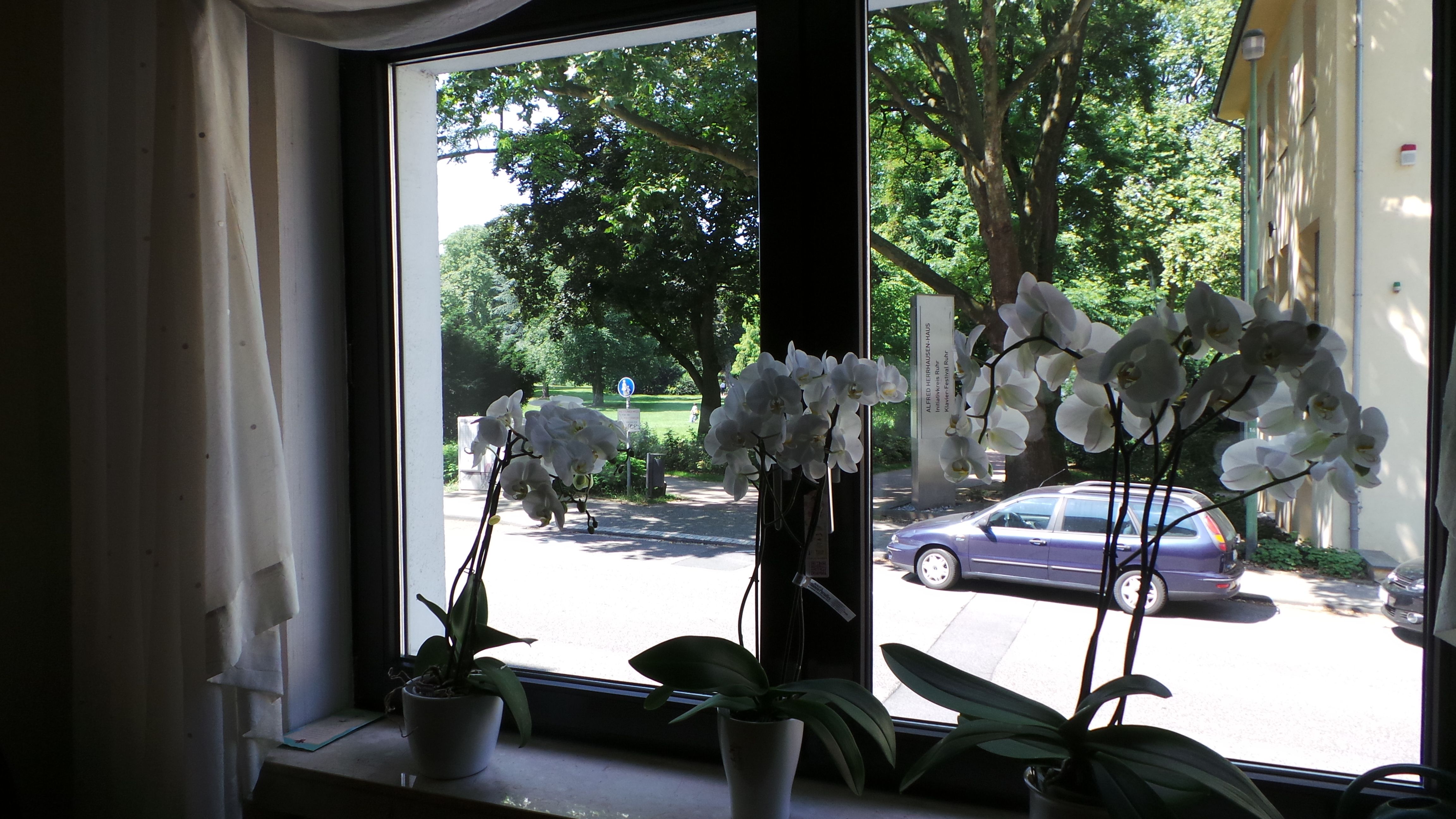 Charming Flat Located In Essen - 9