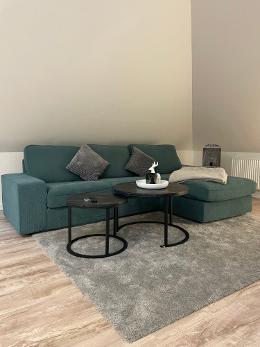 Charming apartment in the popular Weißer Hirsch villa district for 4 people - Gallery - 18