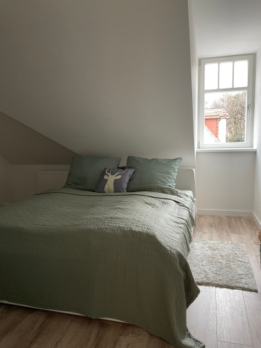 Charming apartment in the popular Weißer Hirsch villa district for 4 people - Gallery - 31