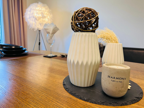 HARMONY - stylish central 4-room premium apartment on the ground floor with garden I barbecue area I terrace I Netflix I washing machine