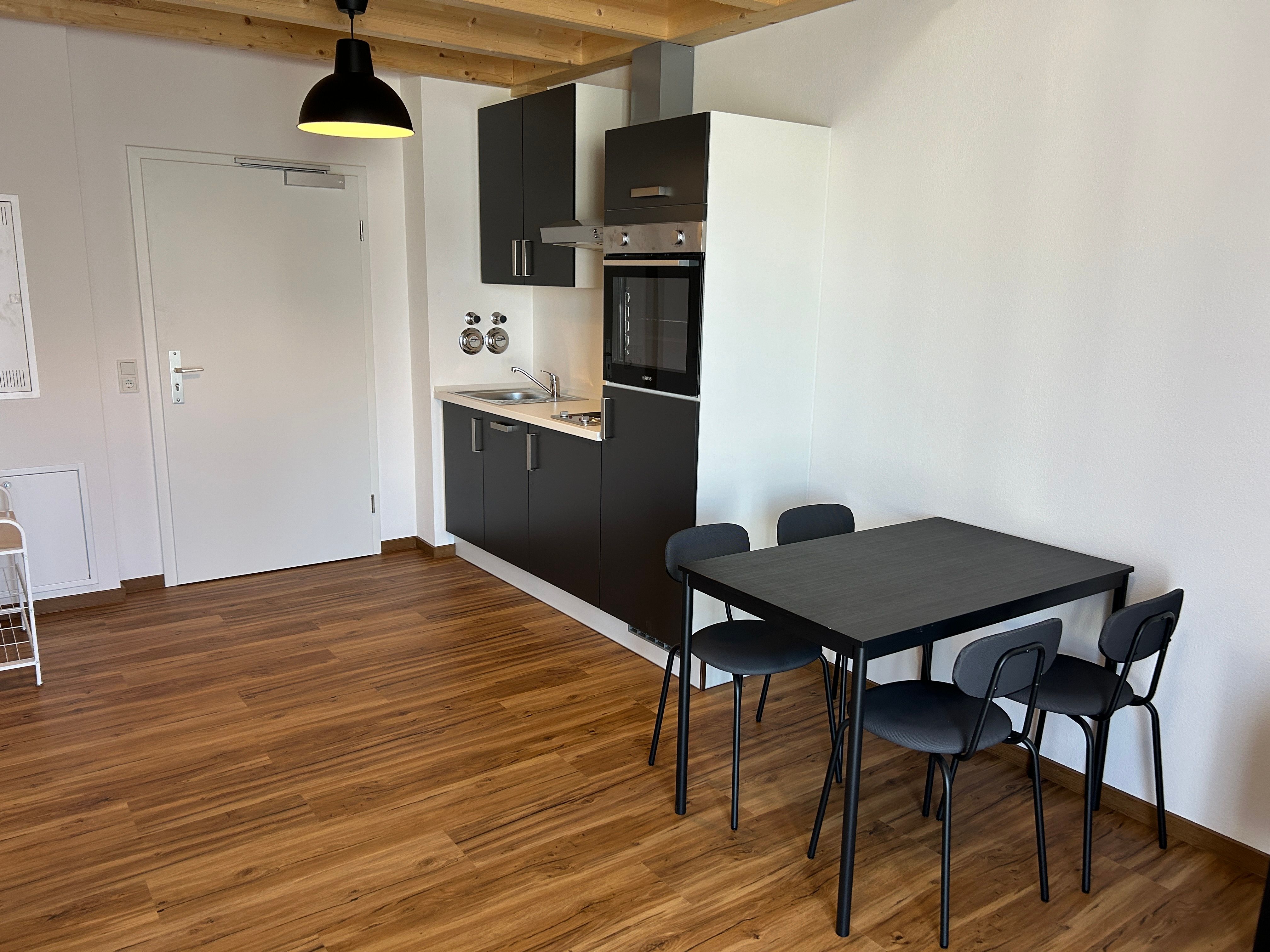  Furnished New Apartment With EBK In The Innstadt  -  Furnished new apartment with EBK in the Innstadt  - Gallery -  12