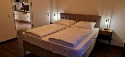 Homey Apartments Harbor Suite - Parking Two Bathrooms Netflix Sea view