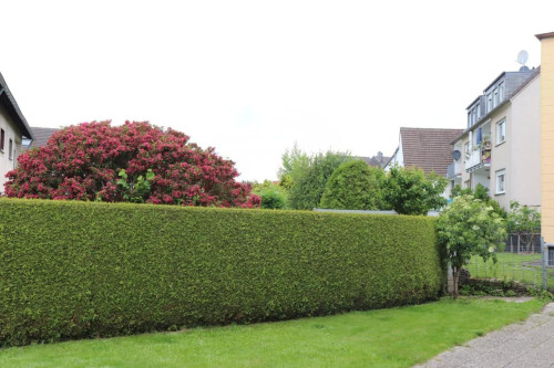 BGL-10 Bergisch Gladbach / Köln / Leverkusen (Fewo-Cosar)