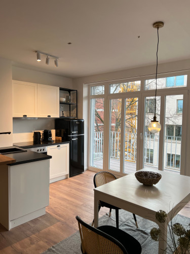 Cozy & modern apartment located in Östliche Vorstadt - Gallery - 4