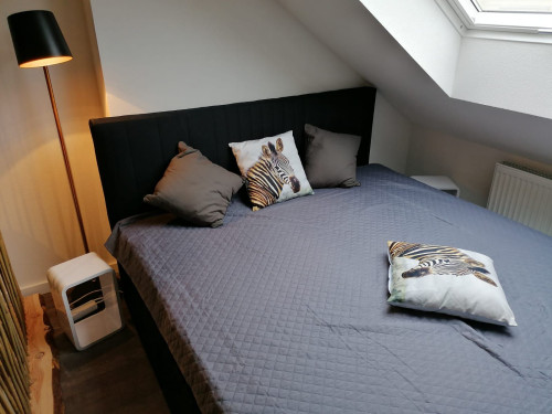 Modernes Apartment am Stadtpark - Gallery - 3