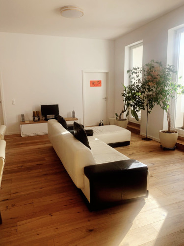 Fantastic and wonderful apartment in the heart of Leipzig - Gallery - 13
