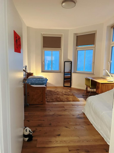 Fantastic and wonderful apartment in the heart of Leipzig - Gallery - 15