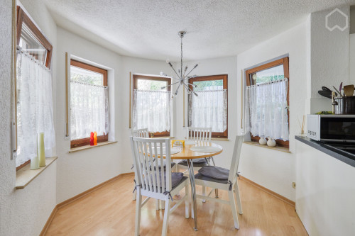 Bright furnished apartment with large terrace near Stuttgart