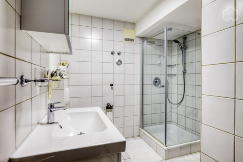 Bright furnished apartment with large terrace near Stuttgart - Gallery - 15