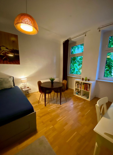 Comfortable and quiet one room apartment in quiet area near river channel and park