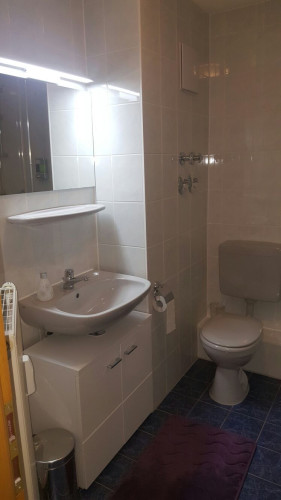Compact 1 Room Apartment near Audi, Lidl, Kaufland - Gallery - 10