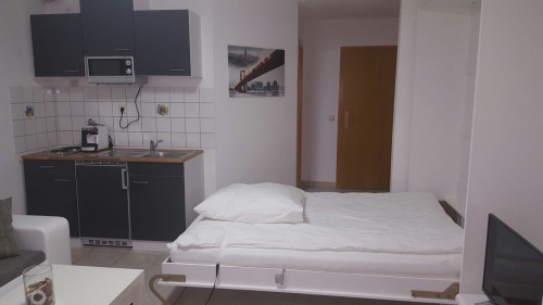 Compact 1 Room Apartment near Audi, Lidl, Kaufland