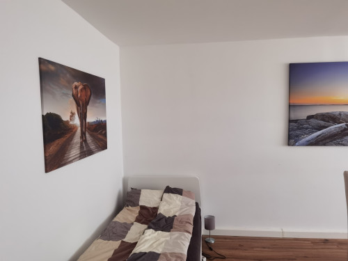 Charming and wonderful flat in Paderborn - Gallery - 8