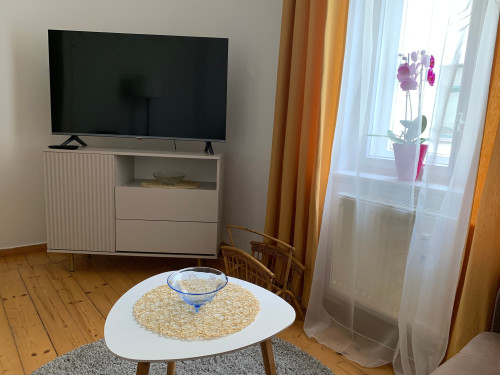 Wonderful, perfect studio in Freiberg - Gallery - 13