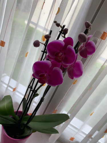 Wonderful, perfect studio in Freiberg