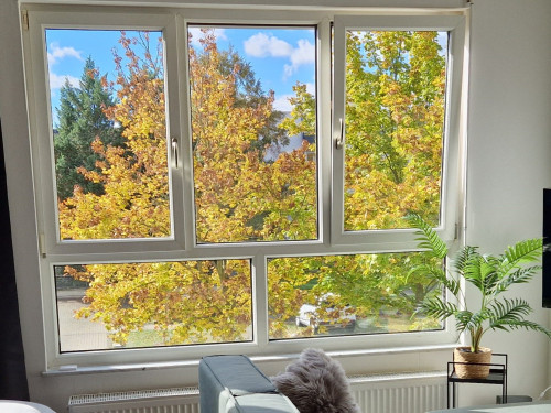 Apartment with home office workspace in Gera (ideal for 1-2 guests) - Karls Apartment B24 - Gallery - 6