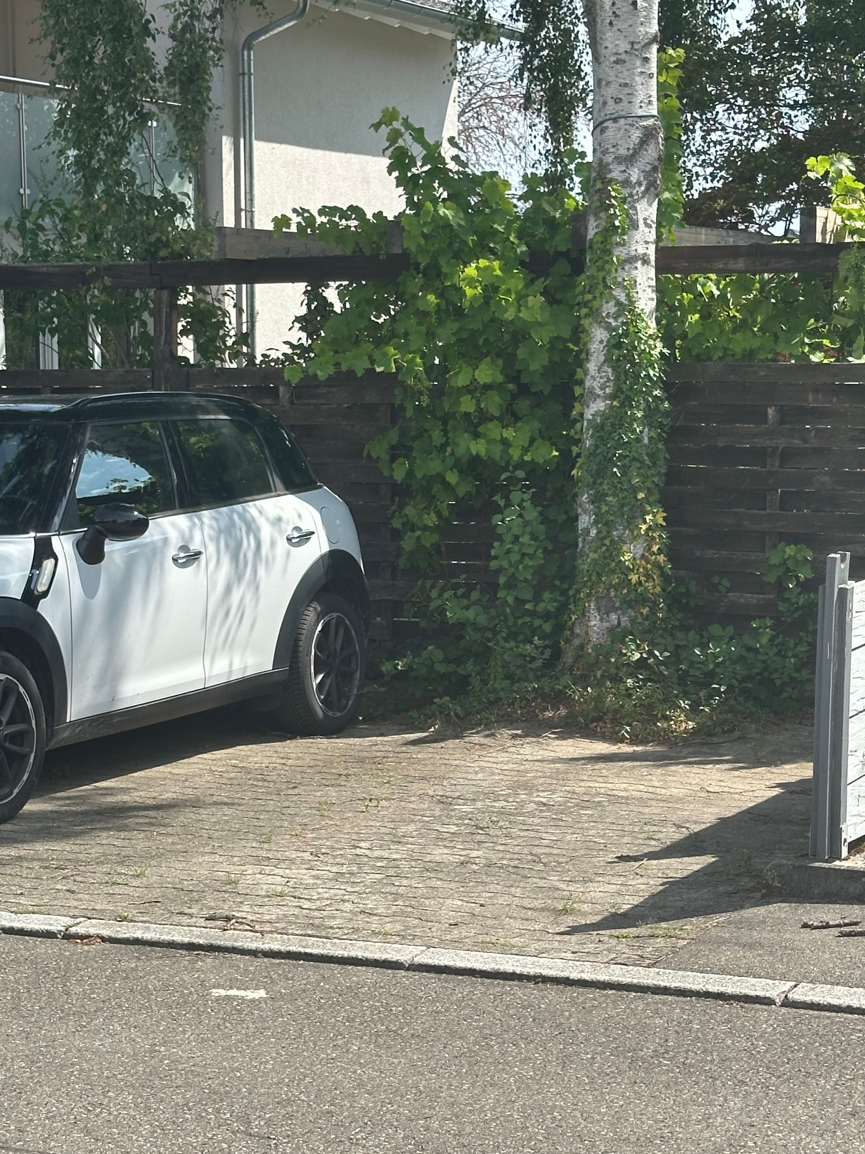 East-Side Garden Apartment In Leinfelden-Echterdingen) - East-side garden apartment in Leinfelden-Echterdingen) - Gallery - 9