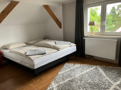 Bright & quiet flat in Teltow - Gallery - 3