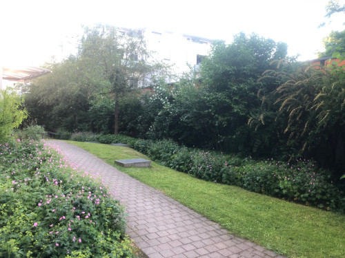 Nice apartment in Dresden