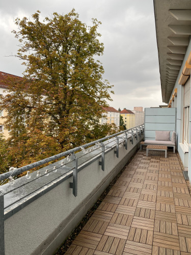 Nice apartment in Dresden - Gallery - 21