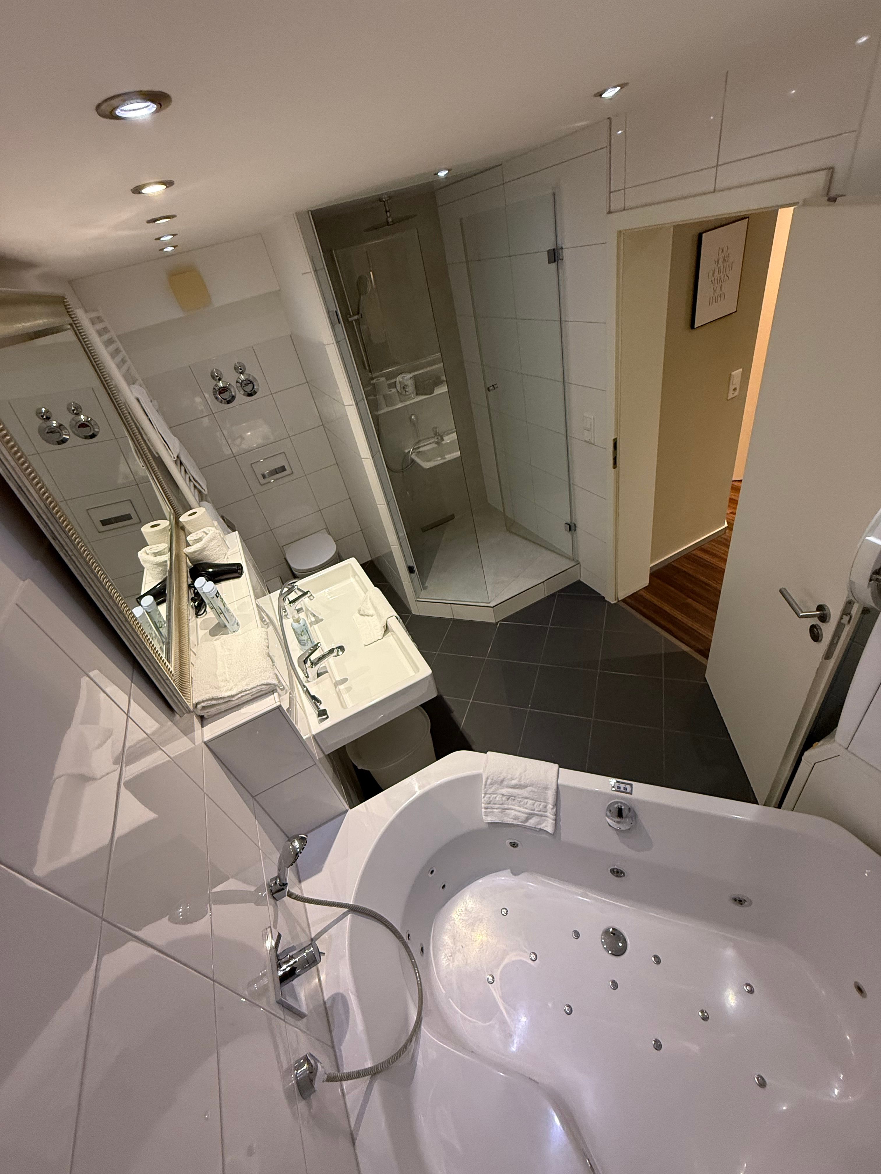 Spacious And Cute Flat In Heidelberg - Spacious and cute flat in Heidelberg - Gallery - 20