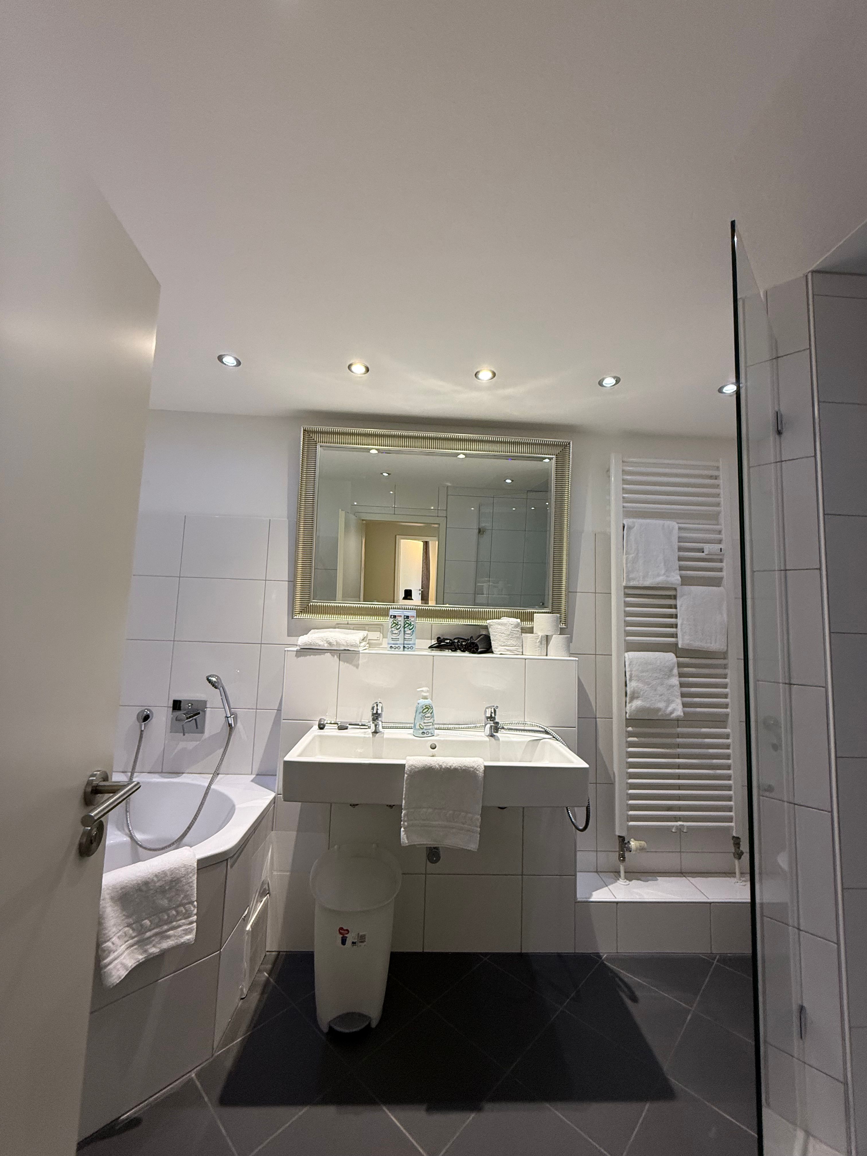 Spacious And Cute Flat In Heidelberg - Spacious and cute flat in Heidelberg - Gallery - 21